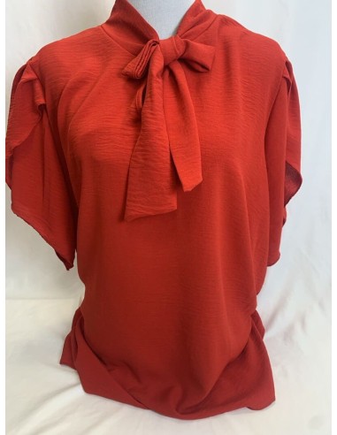 BLUSA CON LAZO